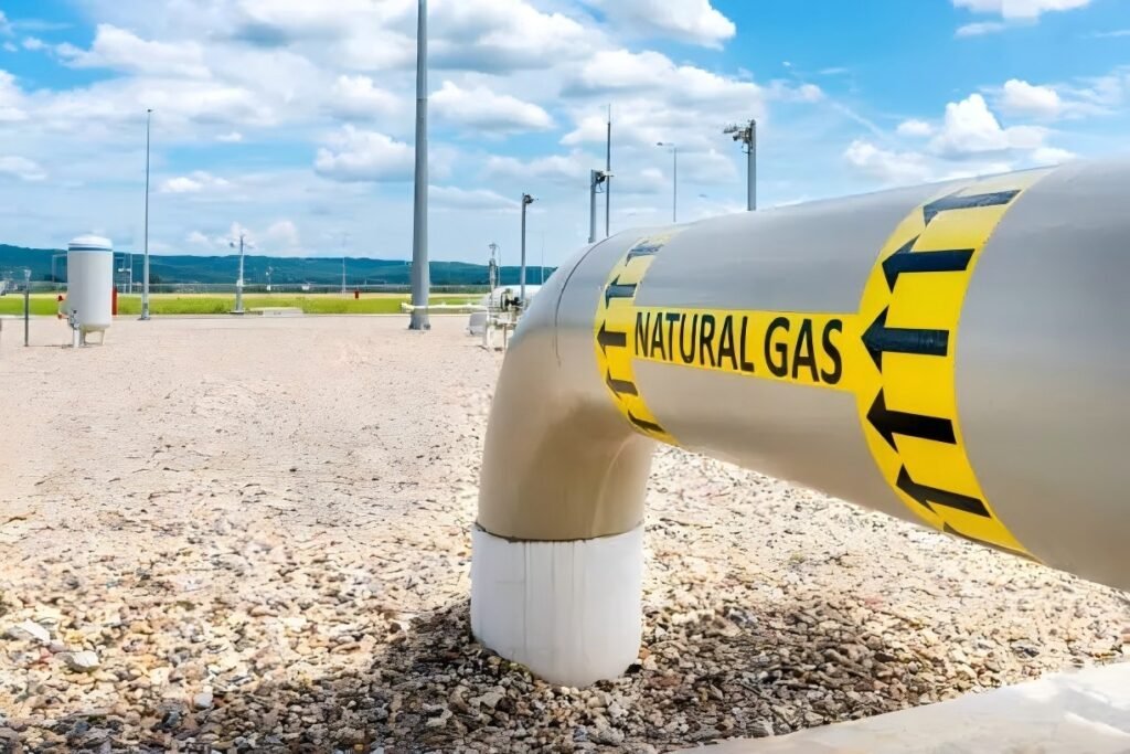Natural Gas Fryers vs Propane Fryers: Key Differences and Use Cases