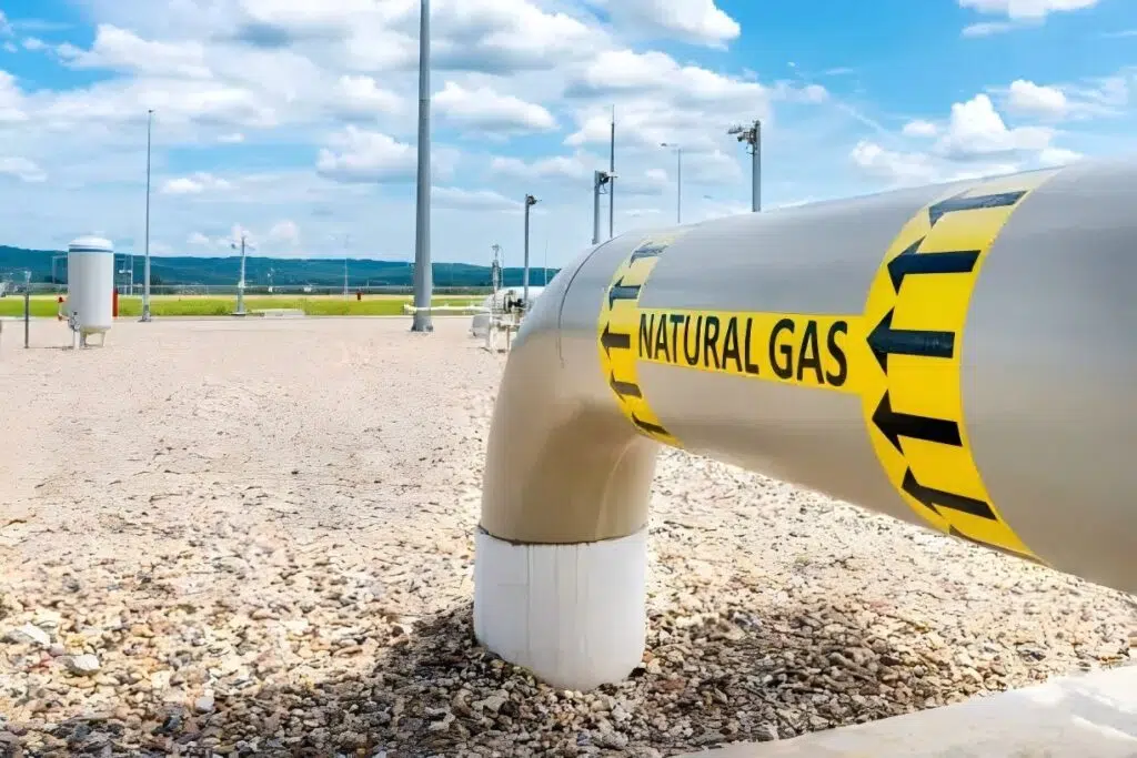 Natural Gas Fryers vs Propane Fryers: Key Differences and Use Cases